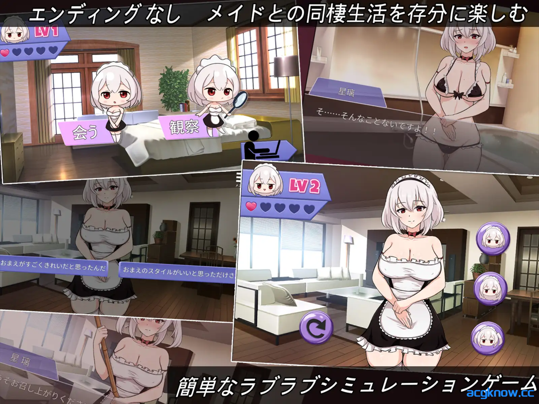 [PC] [SLG/官中/动态]我的皇家女仆R 僕のロイヤルメイドR 官方中文版 [460M]