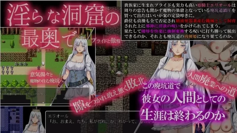 [RPG/AI汉化/PC+安卓]堕落骑士艾利欧尔 堕落騎士 [1+1.5g][百度盘]