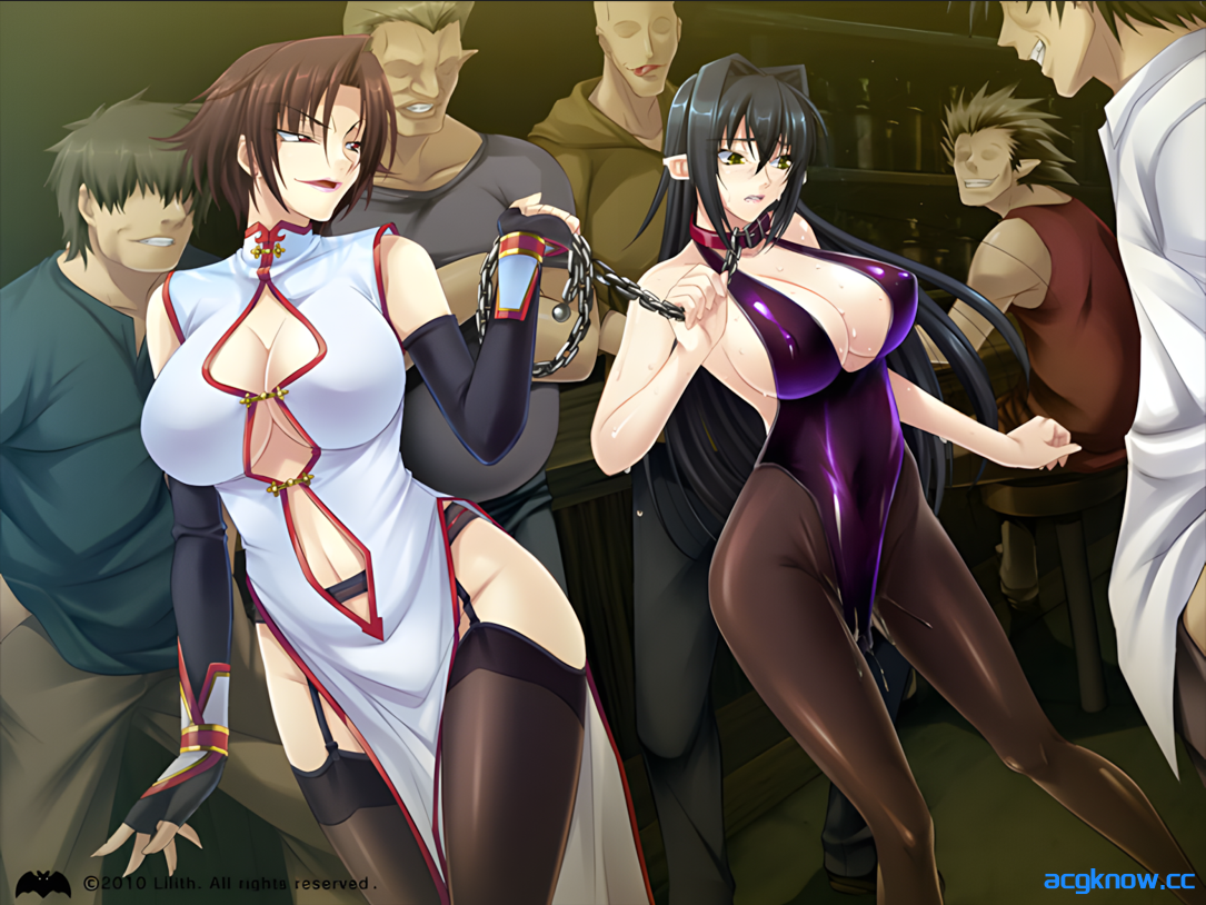 [PC] [拔作ADV/汉化/动态]钢铁魔女安妮罗丝 全系列典藏合集 AI汉化内嵌版+动画+CG[4.44G]