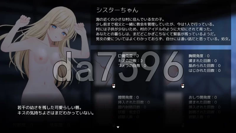 PC–美好时光~与修女酱共度的温暖时光~ Halcyon Days ~シスタ… [1+1.2G][百度盘]