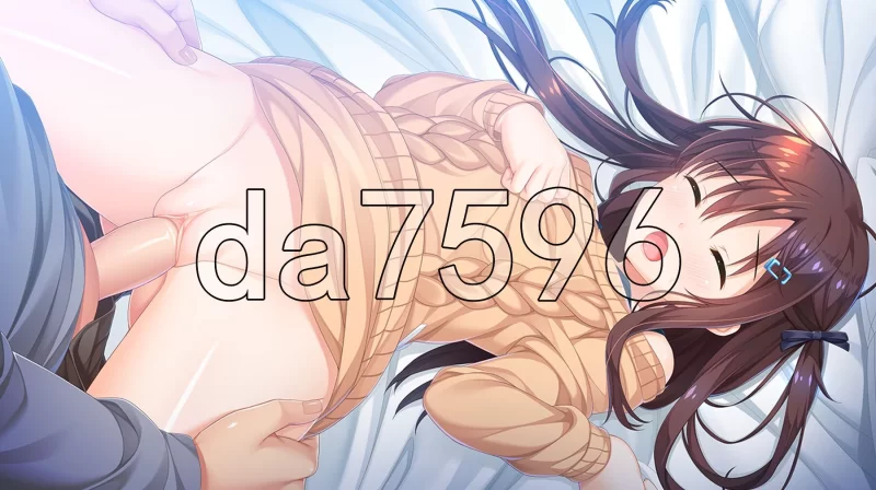 PC–哥哥，早起前要一直抱紧我哦！お兄ちゃん、朝までず… [1+4.8G][百度盘]