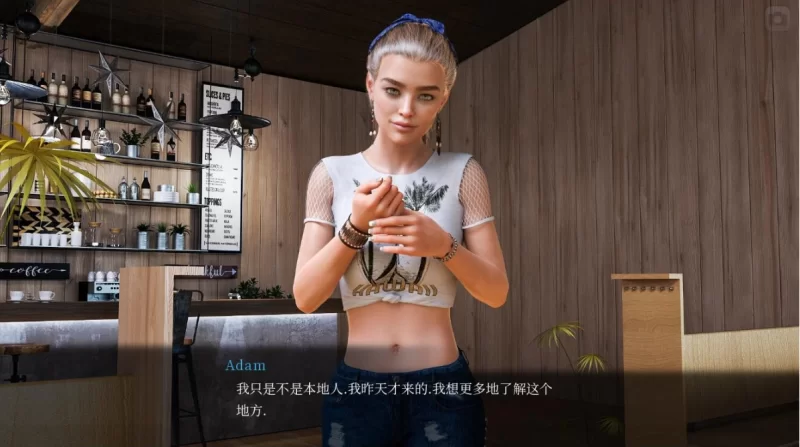 [PC-SLG]激情之风9.01Extra汉化版 [1+11g][百度盘]