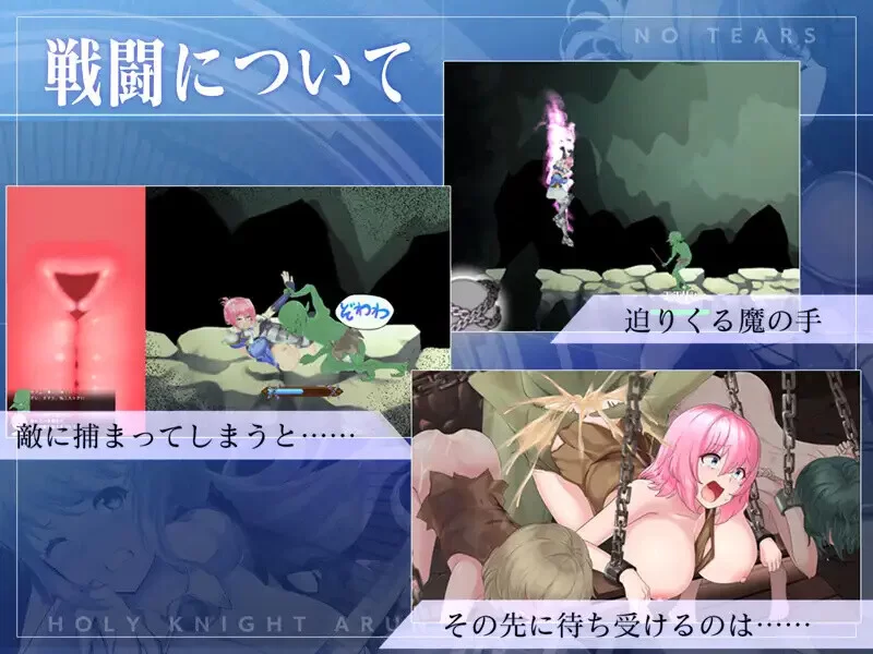 PC-ACT 爆款/战斗H/全动态  圣骑士阿恩与魔孕咒印 V1.0.10 DL官中 [1+4.40GB][百度盘]