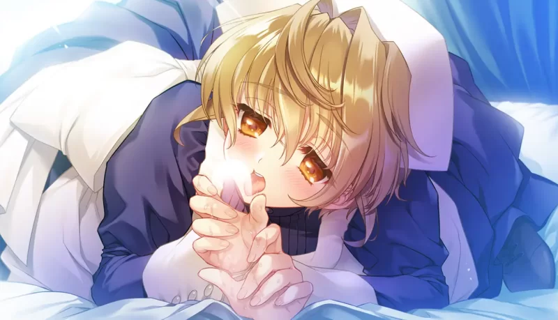 [PC精品ADV]无颜之月待宵双椿汉化版 [1+2g][百度盘]