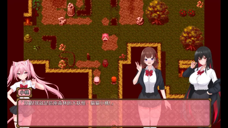 PC 百合花撩乱！美少女的百合生活- Yuri Blossom! 官方中文步兵 [1+1.1g][百度盘]
