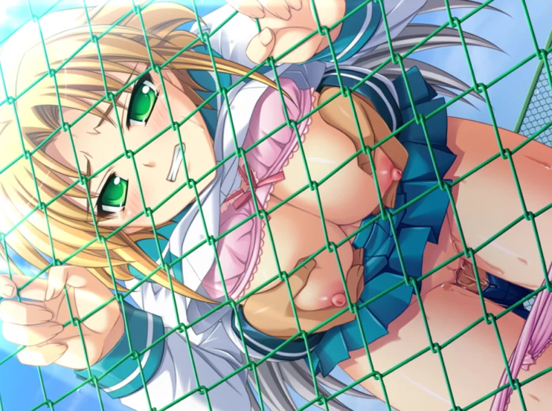 【PC/汉化/ADV/步兵】ORION HEART～受尽凌辱的泳装战士+全CG存档 [1+323MB][百度盘]