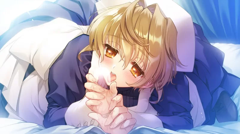 【启蒙大作ADV/汉化/精品/PC】无颜之月-待宵双椿 顔のない… [1+2G][百度盘]