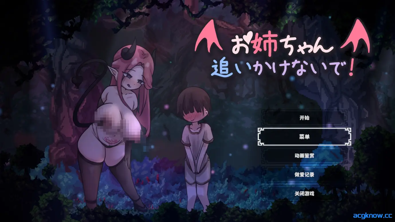 [PC][ACT/官中/全动态] 姐姐，别追我！～与魅魔的捉迷藏！ 官方中文版 [511M]