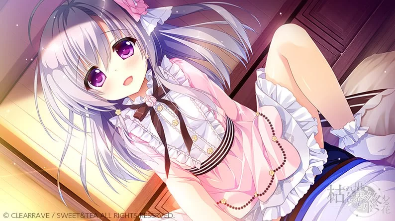 【新作ADV官中CV PC】永不枯萎的世界与终焉之花v1.0a [1+4.7G][百度盘]