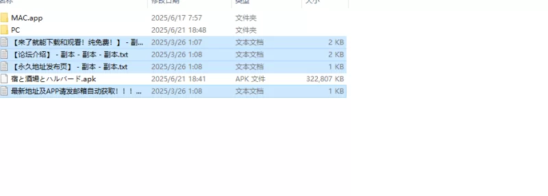【肉鸽ACT/断画面/RenpyThief机翻】旅馆、酒馆与戟V1.0.3+MAC [1+1.50G][百度盘]