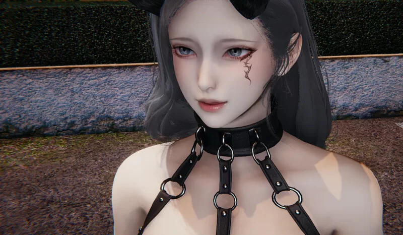 PC-SLG 国人/奴隶契约 宠物捕捉系统 V3.0 官方中文 双端 [1+2.80GB][百度盘]