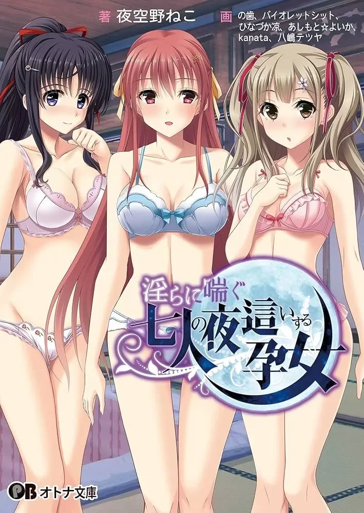 [PC/佳作/合集/怀孕/汉化/后宫/全CV]夜袭而来的七人孕女 3部 [3+2.76G+2.03G+1.54G][百度盘]