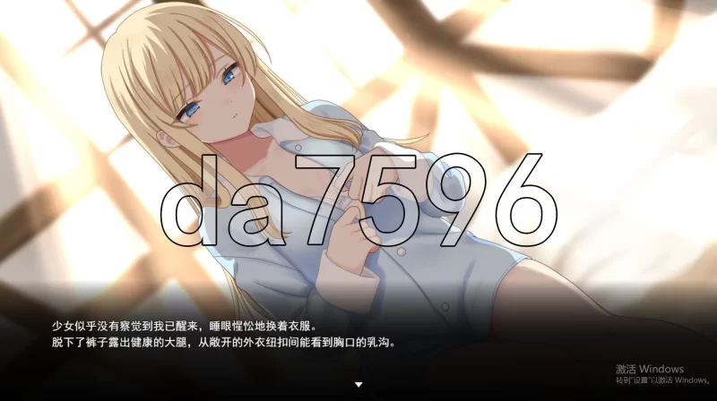 PC–美好时光~与修女酱共度的温暖时光~ Halcyon Days ~シスタ… [1+1.2G][百度盘]
