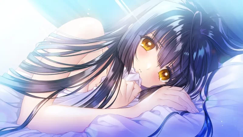 【ADV/汉化/PC】无颜之月-待宵双椿 – AI汉化内嵌版【2G/CV】 [1+2G][百度盘]