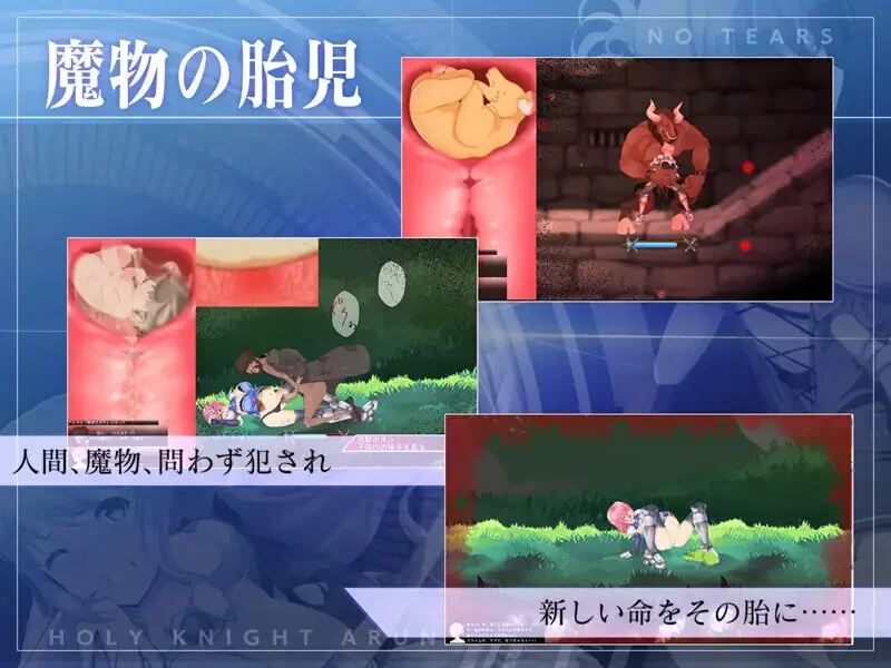 PC-ACT 爆款/战斗H/全动态  圣骑士阿恩与魔孕咒印 V1.0.10 DL官中 [1+4.40GB][百度盘]