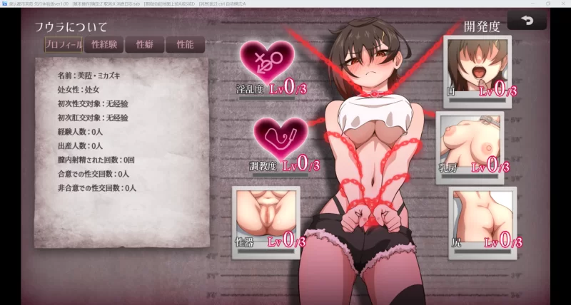 【日系RPG/AI汉化/2D】隶从都市芙拉 【PC+安卓/1.53G】 [2+1.53G][百度盘]