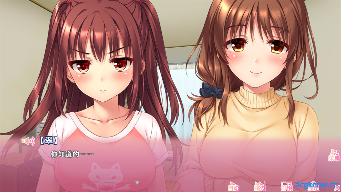 [PC] [日系SLG/官中/动态] 义妹私教辅导~哥哥我是家庭教师 Ver1.01 官方中文步兵版 [2.18G]