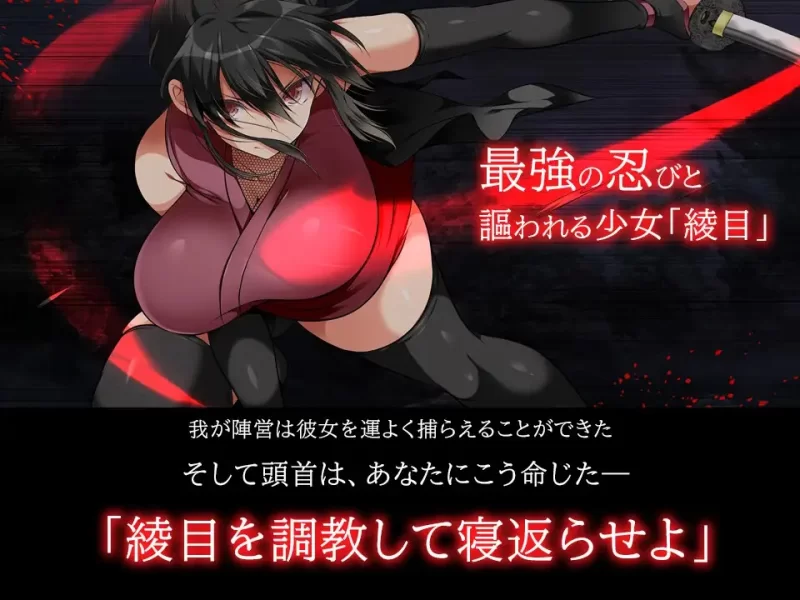 【电脑】[大型SLG/官中/动态]忍墮－女忍調教 女忍者堕落VB.13126066官方中文+DLC+攻略 [1+1.50g][百度盘]