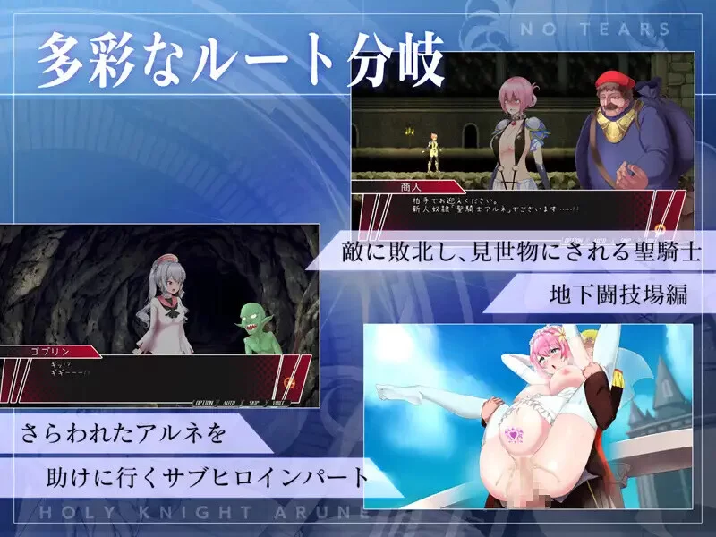 PC-ACT 爆款/战斗H/全动态  圣骑士阿恩与魔孕咒印 V1.0.10 DL官中 [1+4.40GB][百度盘]