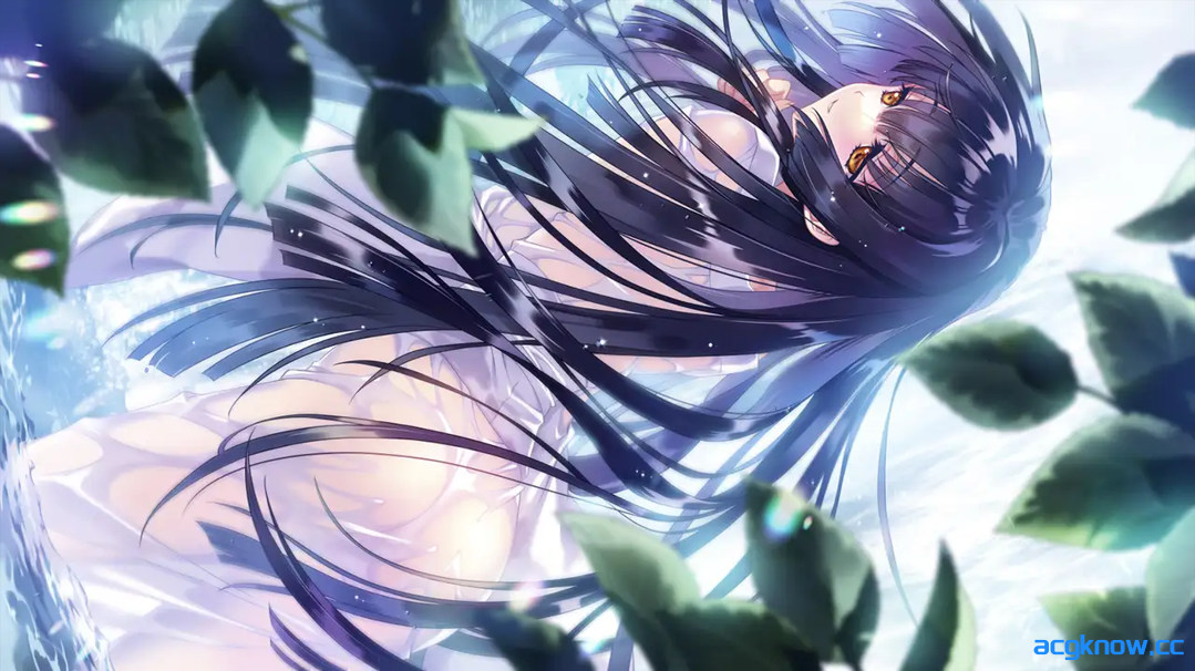 [PC] [日系启蒙ADV大作/汉化/巫女]无颜之月-待宵双椿 顔のない月-待宵の双椿- AI汉化内嵌版 [2G/CV]
