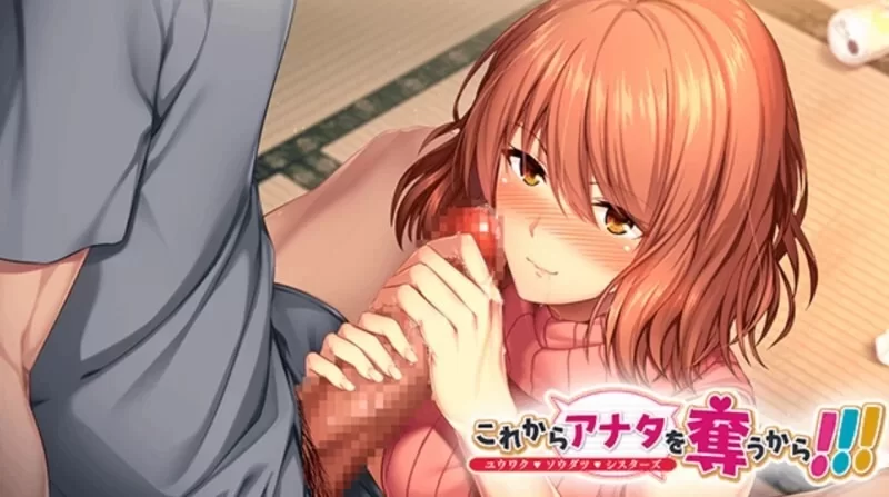 [精品ADV/汉化/后宫/巨乳/PC/全CG]从现在起夺走你的一切 v1.0+存档 [n+873m][百度盘]