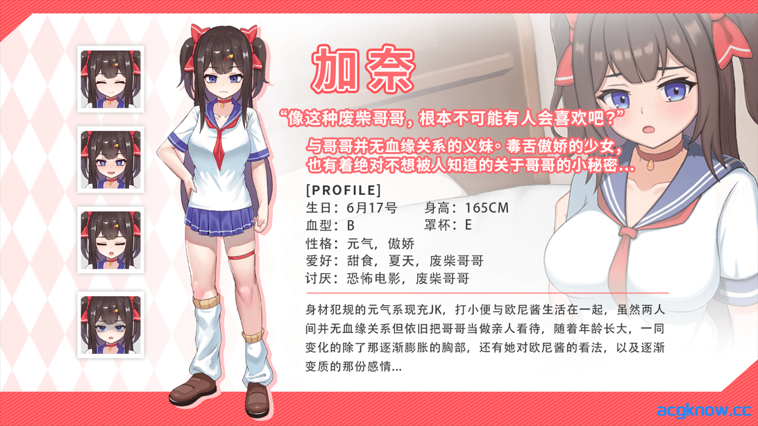 [PC][互动SLG/官中/骨科]与傲娇妹妹的治愈日常 ツンデレ妹と私の癒しの日常 Ver0.1.1 官方中文版[794M]