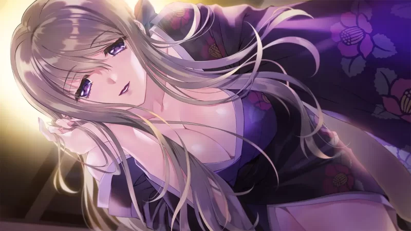 【PC/经典神作重制版/汉化/ROOT社/全CV】无颜之月-待宵双椿 [1+1.85G][百度盘]