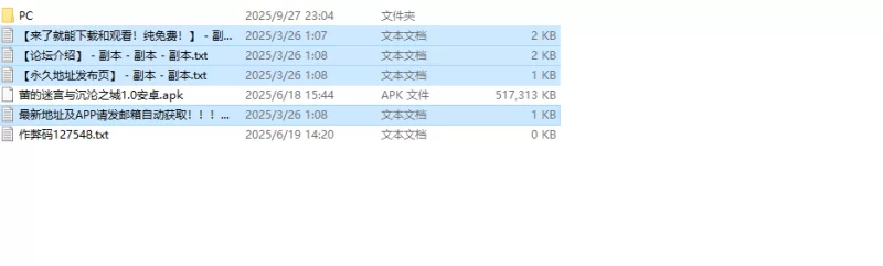 【动作ARPG/阿黑颜/汉化】蕾伊与迷宫与催眠V1.0 内嵌AI汉化 [1+1.20G][百度盘]