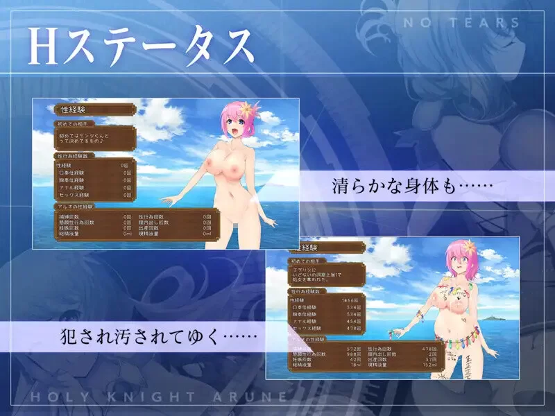 PC-ACT 爆款/战斗H/全动态  圣骑士阿恩与魔孕咒印 V1.0.10 DL官中 [1+4.40GB][百度盘]