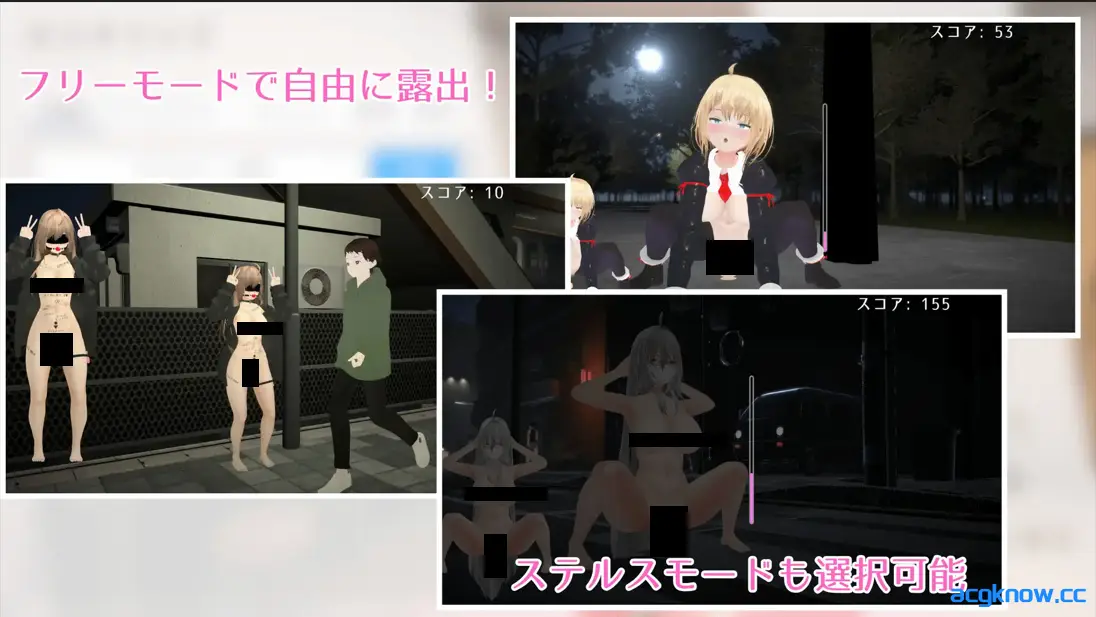 [PC] [3D互动/官中/全动态/露出] 户外露出少女莉娜 野外露出少女レナちゃん Ver1.0.0 官方中文版 [1.84G]
