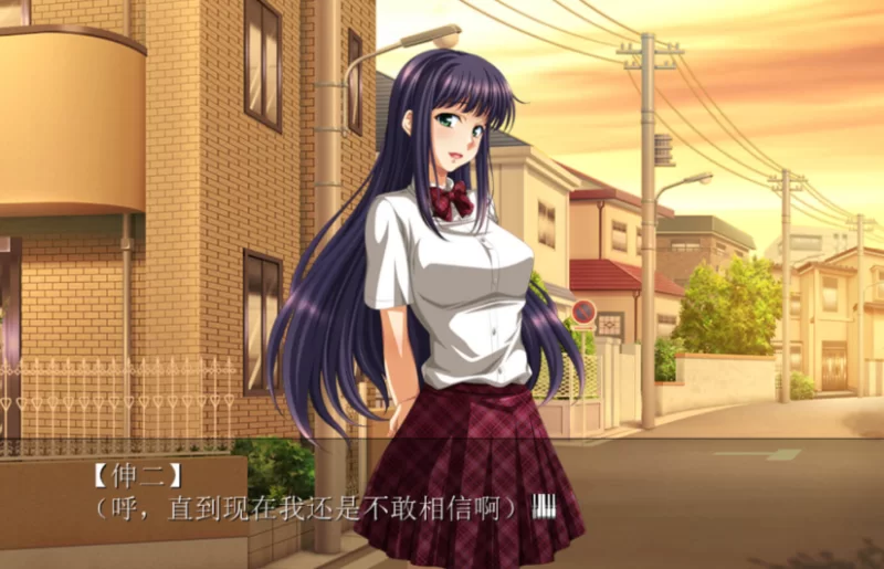 PC【背德NTR拔作ADV】喜欢女友的母亲？和人妻社长岳母通奸 [1+800M][百度盘]