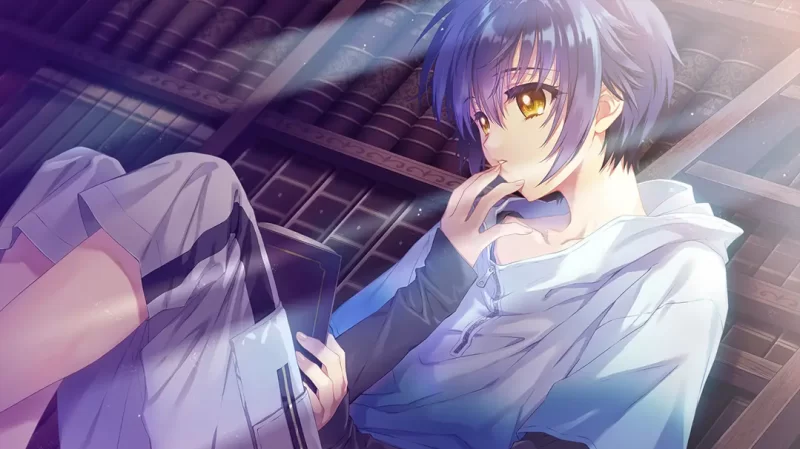 【启蒙大作ADV/汉化/精品/PC】无颜之月-待宵双椿 顔のない… [1+2G][百度盘]