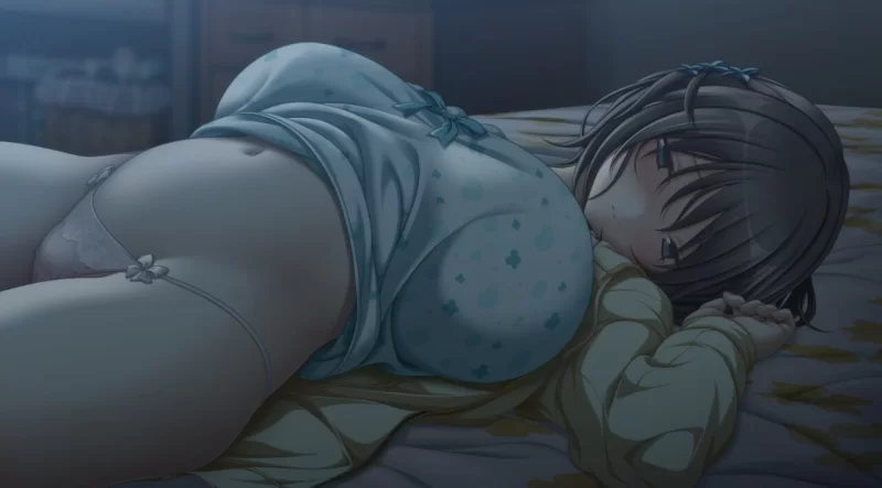 [PC/佳作推荐/汉化恋爱/巨乳JK/全CV/全CG]似曾相识的初见 +特典 [1+3.69G][百度盘]