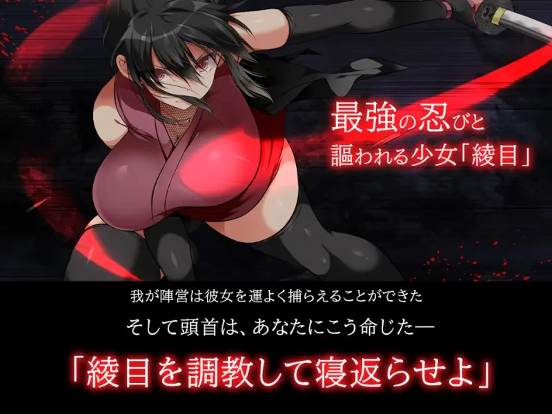 【大型SLG/官中/动态/PC】忍墮－女忍調教 女忍者堕落：忍… [1+11.3G][百度盘]