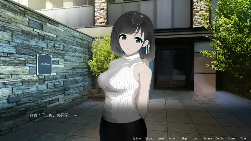 [PC-SLG] 【SLG/动态/官中】ROOM：窥视女孩私生活 官方中文版… [1+1.68G][百度盘]