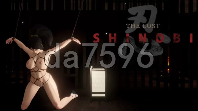 PC–迷失的忍者 The Lost Shinobi Ver0.1.0 官方中文版 [1+1.2G][百度盘]