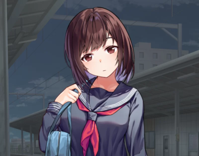 [PC/好冲]回转痴汉电车 AI汉化版【2D动画/换装】 [1+1.4G][百度盘]