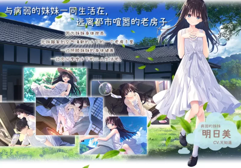 PC兄妹乱伦沙盒RPG】痴情哥哥与病弱妹妹乡间生活+全CG+DLC1+2 [1+3.3G][百度盘]