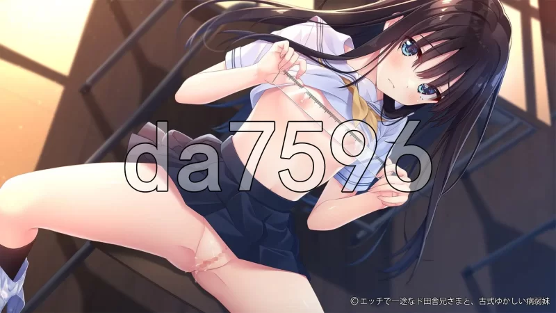 PC–痴情哥哥与病弱妹妹的乡间生活 エッチで一途なド田舎… [1+3.3G][百度盘]