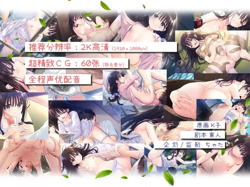 【日系RPG精品/官中/骨科/无码/PC】痴情哥哥与病弱妹妹的… [1+3.27G][百度盘]