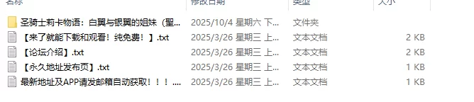 【动作ACT/3D/PC】圣骑士莉卡物语 翼与银翼的姐妹 聖… [1+3.68G][百度盘]