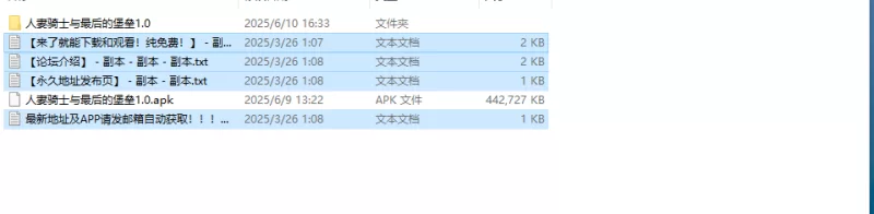 【爆款RPG/动态/汉化】人妻骑士与最后的堡垒～V1.0 内嵌AI… [1+1.10G][百度盘]