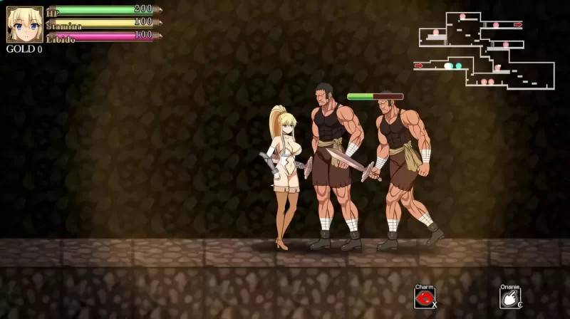 【PC/官中/动态/战斗H】女盗贼ミザリ-女盗贼米莉莎~神圣酶药与魔人之灯 DL完整正式版 [1+652.58M][百度盘]