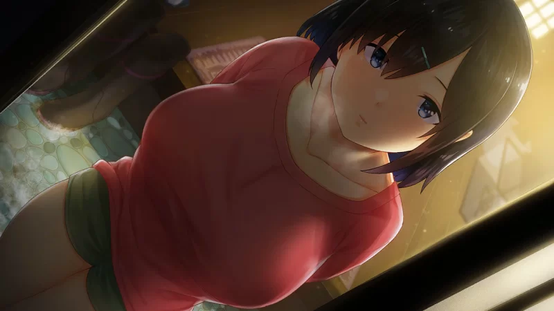 (pc)乡村x生活 冬日 [1+1.16G][百度盘]