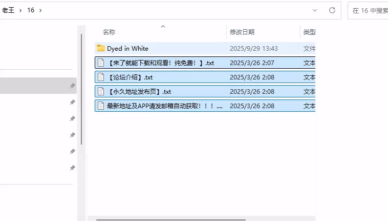 [SLG/PC]染色的纯白Dyed in White 官方中文步兵版 [1+700M][百度盘]