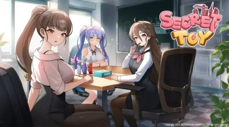 PC 秘密玩具 Secret Toy 官中 [3+280m][百度盘]