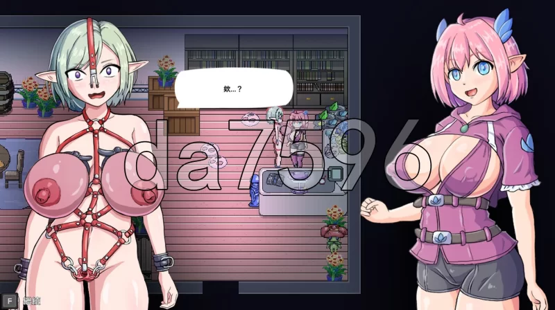 PC–娜莉亚的新任务 Narea’s New Mission v1.7 官中步兵版 [1+290M][百度盘]