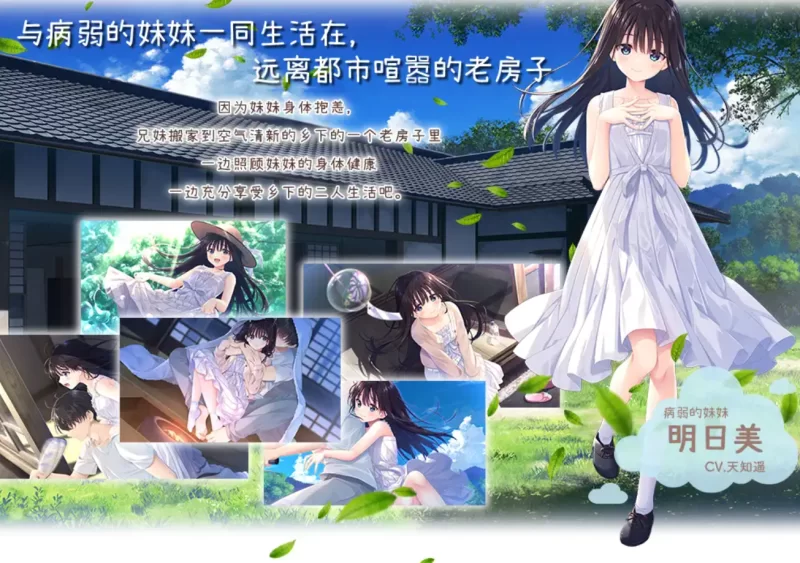 [PC-RPG]痴情哥哥与病弱妹妹的乡间生活官中步兵版+DLC1/2 [1+3.3g][百度盘]