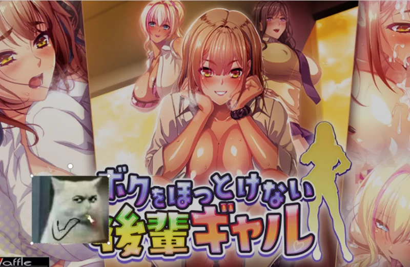 [PC/日式ADV/AI汉化/拔作] 无法对我放任不管的辣妹后辈 ボクを [1+5G][百度盘]