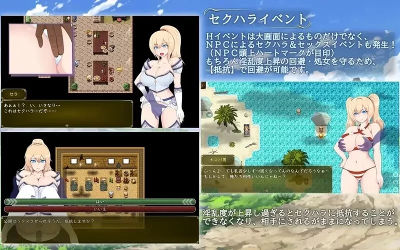 【PC/RPG/AI汉化】塞拉与诺艾尔～俘虏公主的去向Ver3.0 [1+1.27GB][百度盘]
